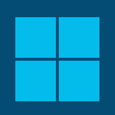 windows 11 key online